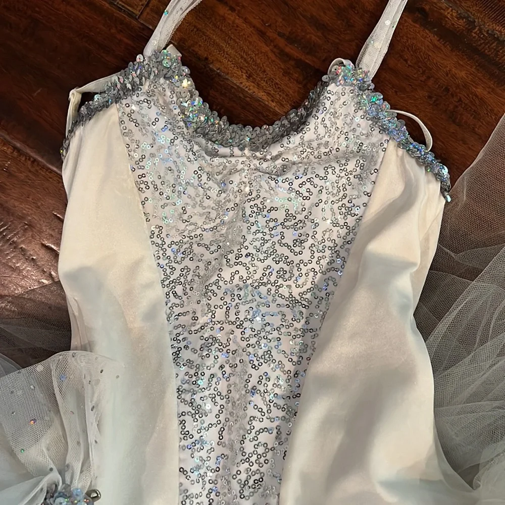 Ballerina Costume - Picture 2 of 5